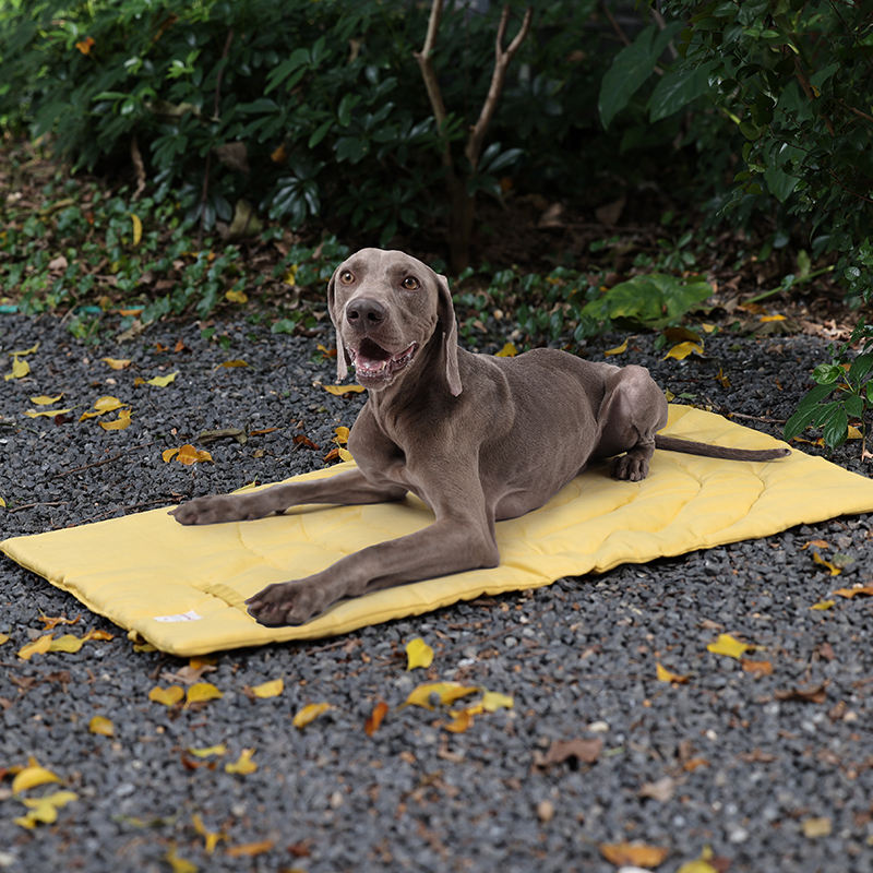 حصيرة الحيوانات الأليفة المحمو - مراجعة Outdoor Camping Rug وسعره